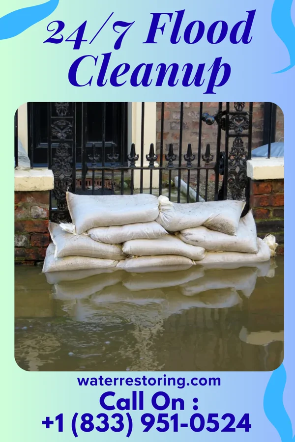 24/7 Flood Cleanup in Clemson University, SC