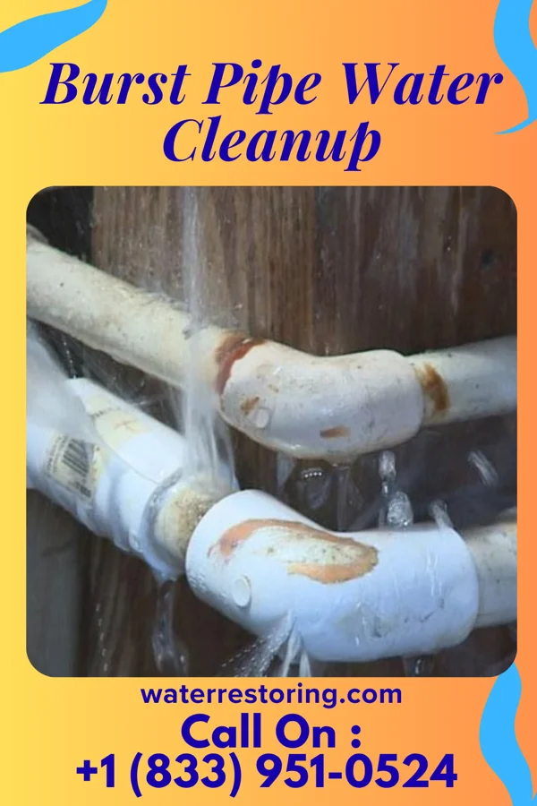 Burst Pipe Water Cleanup in Clemson University, SC