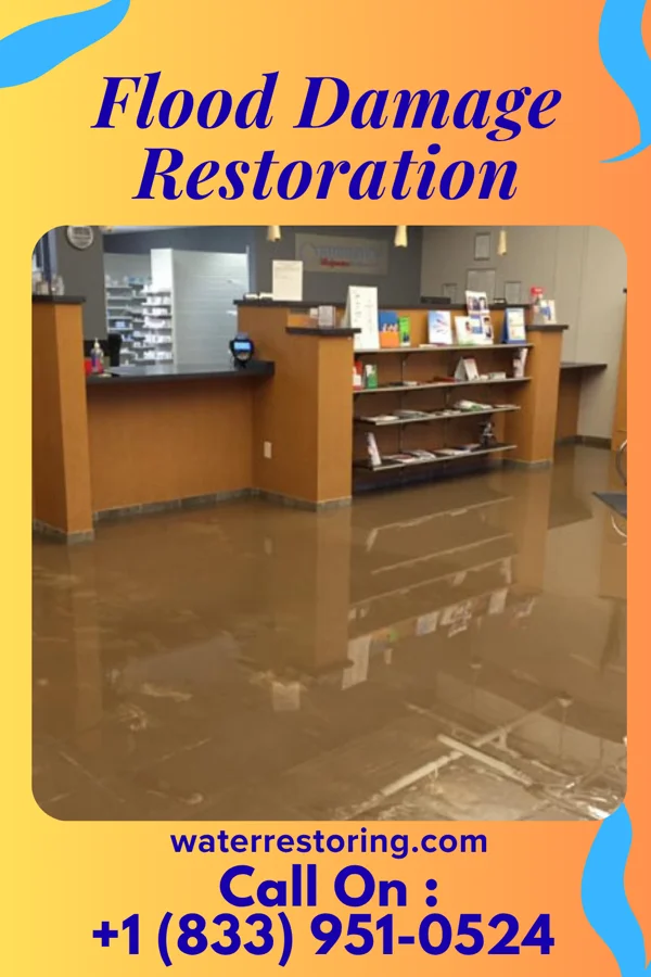 Flood Damage Restoration in Clemson University, SC
