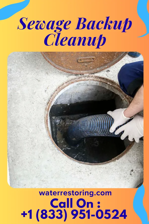 Sewage Backup Cleanup in Clemson University, SC