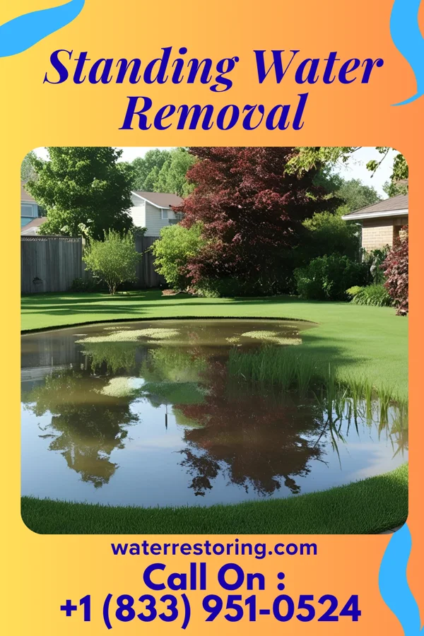 Standing Water Removal in Clemson University, SC